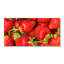 Lorelle 50cm W x 100cm L Glass Peel and Stick Panel