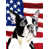 Boston-terrier noir/blanc sélectionné