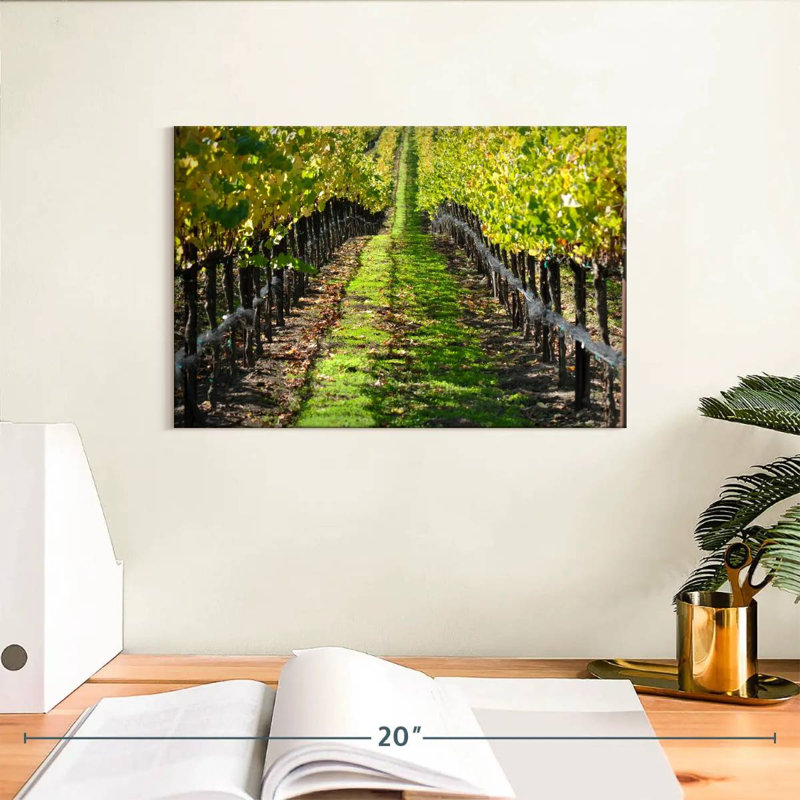 Yarlin Napa Valley Vineyard, H 8 po x l 12 po
