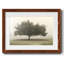 " Trees In The Fog II "-583375831-583375820