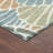 Machine Washable Indoor/Outdoor Jozwiak ACN2384 Floral Rug-65320319