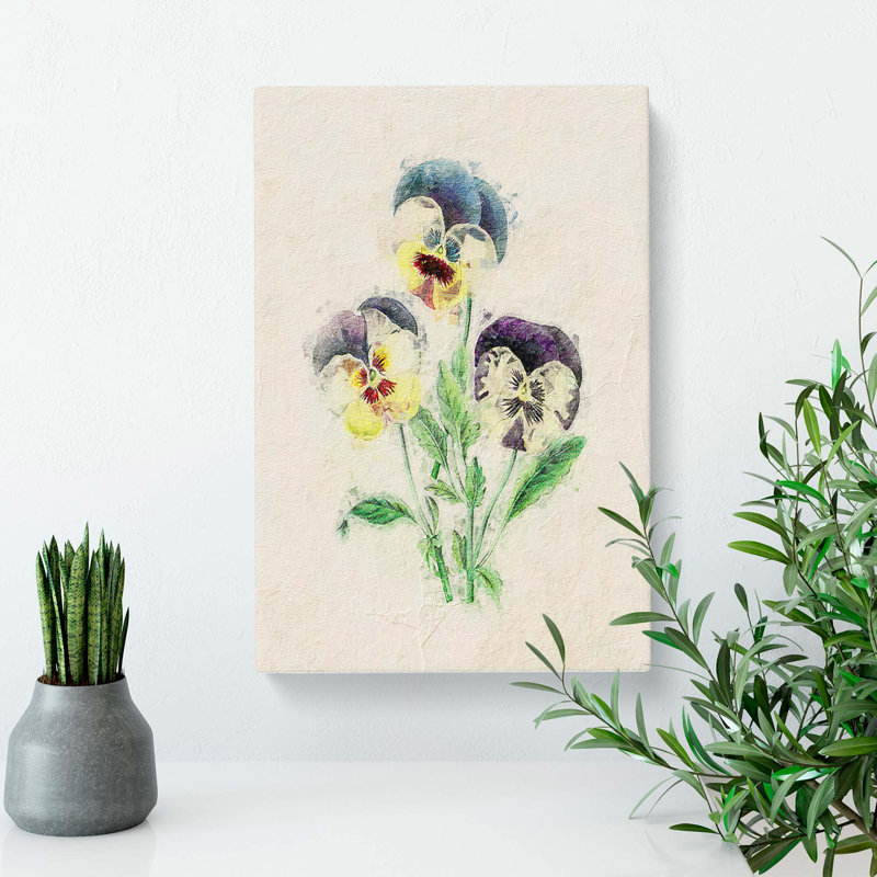 Illustration Of Wild Pansies - Wrapped Canvas, 50cm H x 35cm W x 3cm D
