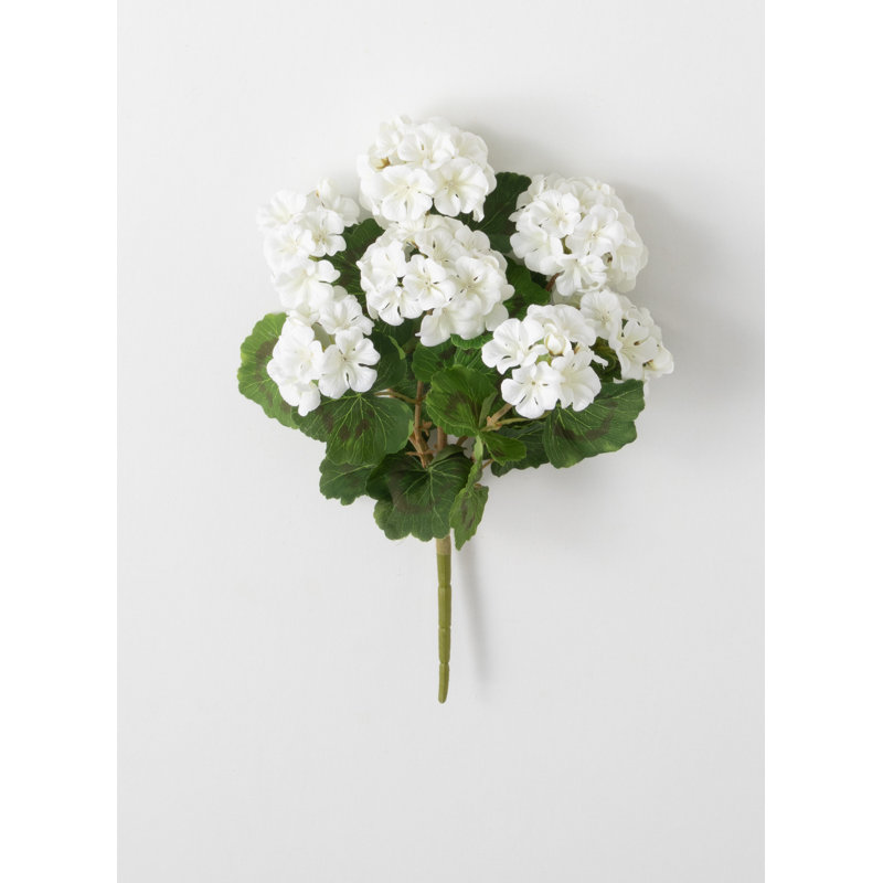 Geranium Arrangement, White
