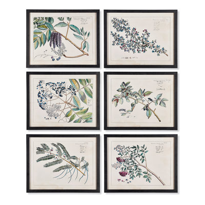 Berry Branch Botanical Study Prints, Set of 6