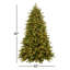 The Holiday Aisle® 7.5ft. Princeton Deluxe Fraser Fir with PowerConnectDual Color LED Lights