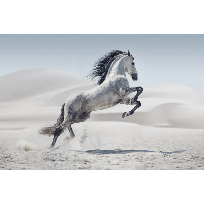 « white majesté », reproduction d’art sur toile tendue, H 40 po x l 60 po x P 1,5 po