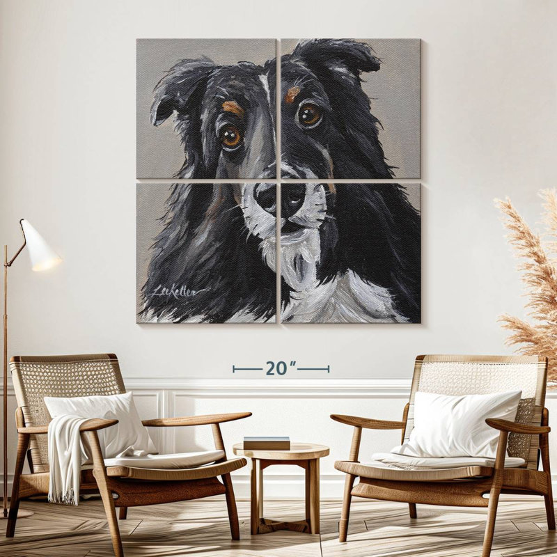Sheltie de Brampt sur fond gris, H 57 po x l 57 po