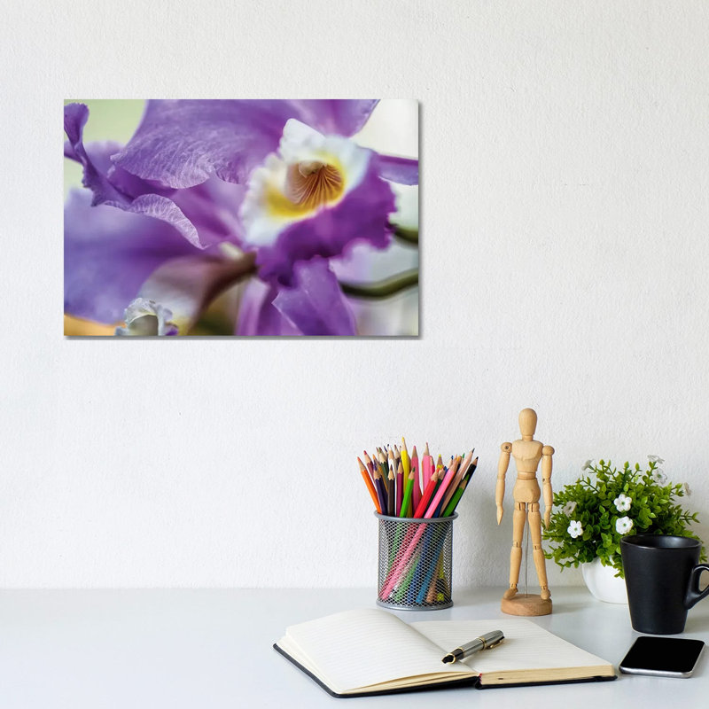 Orchid Purple Iris Flower by Glauco Meneghelli - Wrapped Canvas Print, 20.32cm H x 30.48cm W x 1.9cm D