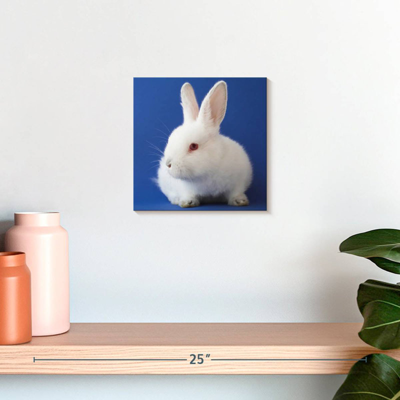 Crowle White Bunny On Blue, 10" H x 10" W
