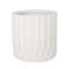 Jeté antique blanc. Pot de fleurs. Pot à fleurs