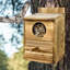 Ensemble de construction en bois Freta pour adultes avec hibou pour l'extérieur