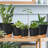 Plant Pots with Drainage Hole-396551370