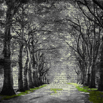 " Path Of Trees News "