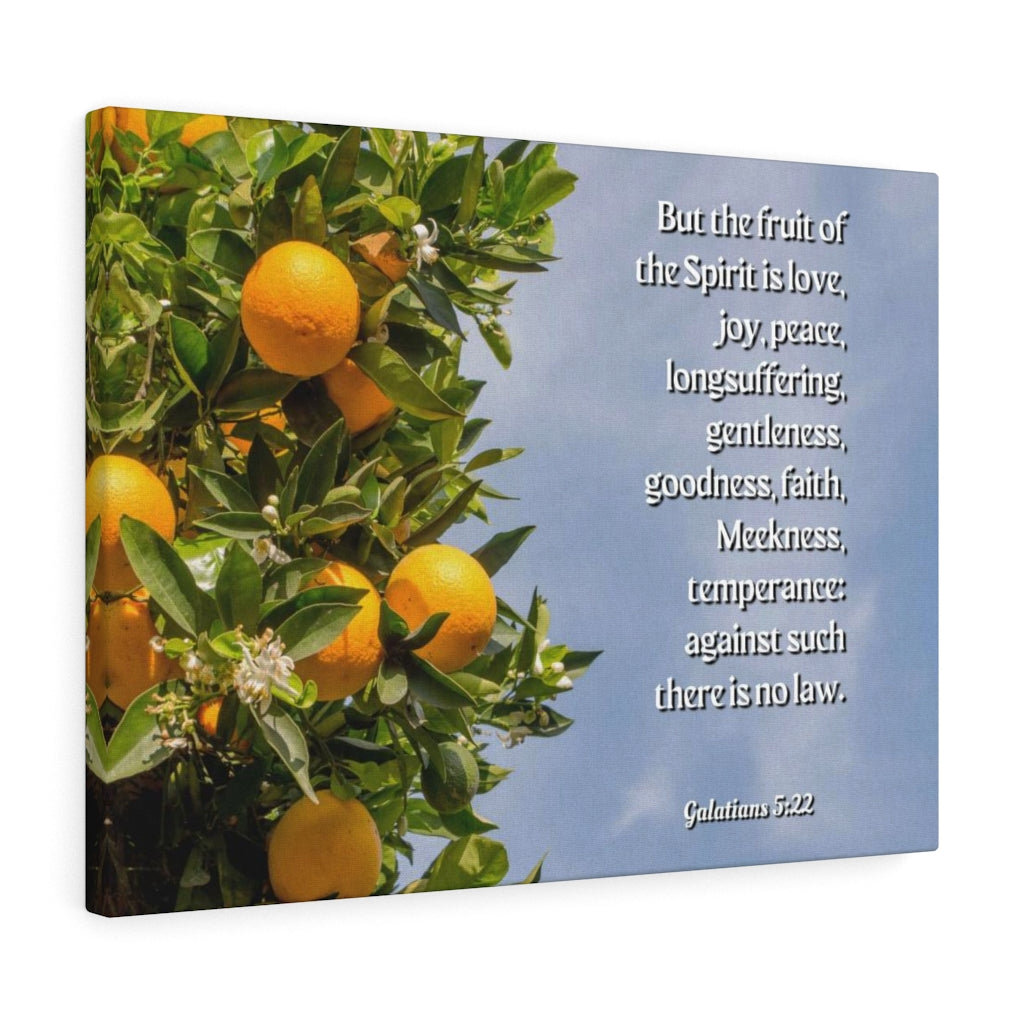 Trinx Fruit Of The Spirit Galatians 5:22 Christian Wall Art Bible Verse ...