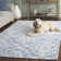 Ferrera Ikat Handmade Tufted Wool Blue / Ivory Area Rug