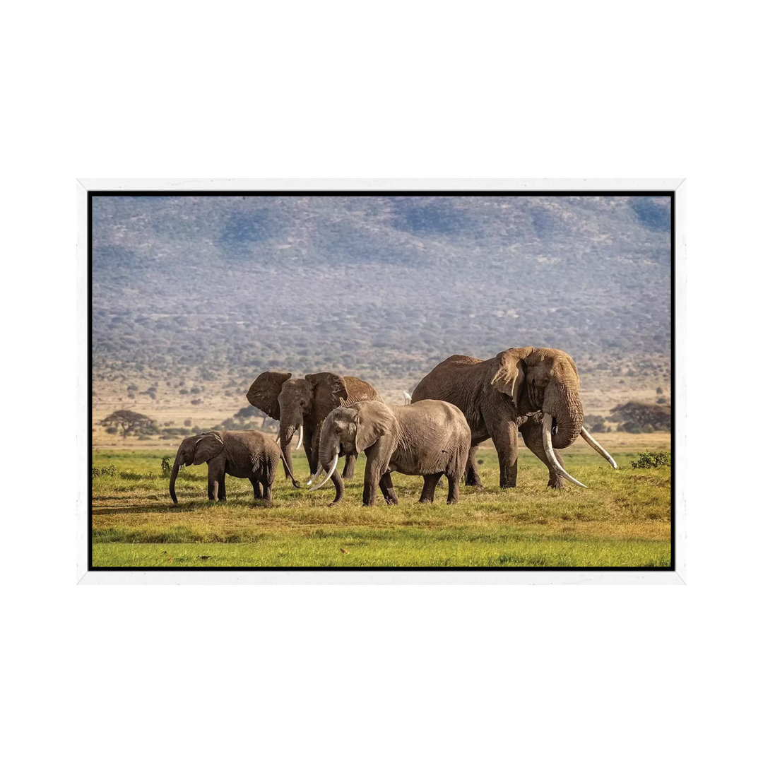 Elefantenfamilie in Amboseli Kenia von Susan Richey - Galerie-verpackte Leinwand Giclée auf Leinwand