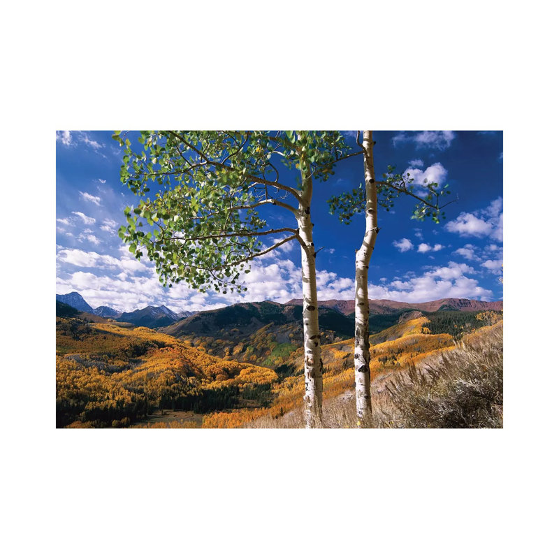 Quaking Aspen Trees In Fall-Colors On Elk Mountains, Capitol Creek Trailhead, Colorado by Tim Fitzharris - Wrapped Canvas Print