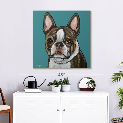 Crowle Sasha Boston Terrier sur sarcelle
