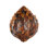 Penshell Sconce