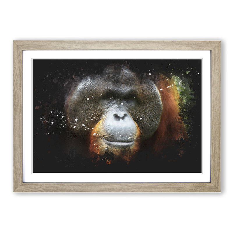 Orangutan Monkey Vol.1 - Picture Frame Painting, 27cm H x 36cm W x 2cm D, Oak Framed