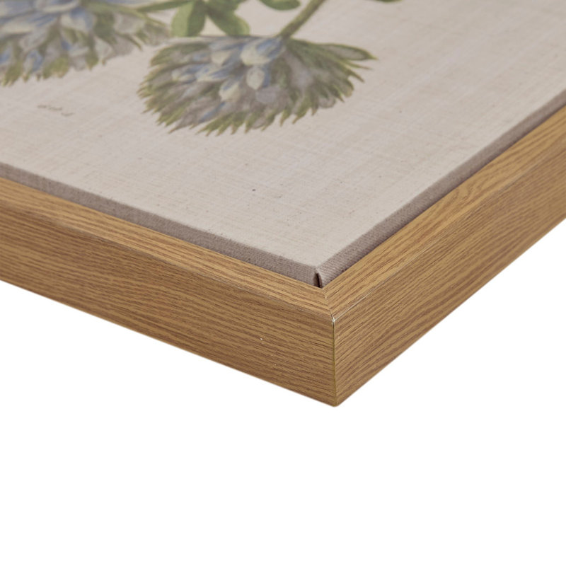 Ensemble de 4 impressions sur toile encadrées Botanical Illustration