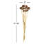 Vickerman 18-24" Natural Spider Knobs on Reed Stem, 9 stems, Dried