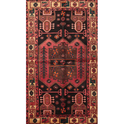 Slezak Oriental Indoor Rug