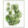 Fresh Market 4 Print