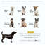 Lit pour chien surélevé pour chien-2087099619-2087099623