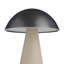 Struzzo Rechargeable Accent Lamp