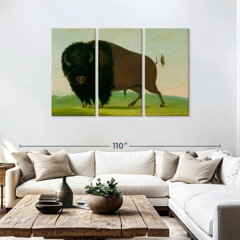 Brampt Buffalo Bull Grazing On The Prairie, 48" H x 74" W