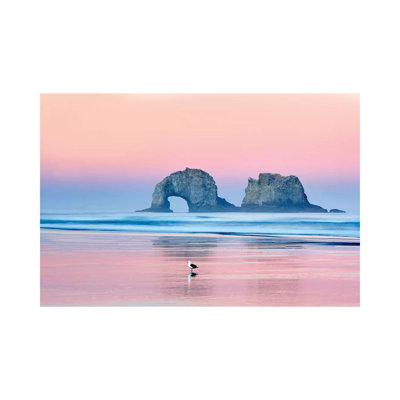 Lone Seagull by Dennis Frates - Print on Canvas