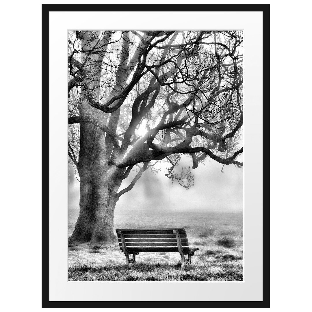 Gerahmtes Poster Baum und Bank im Nebel