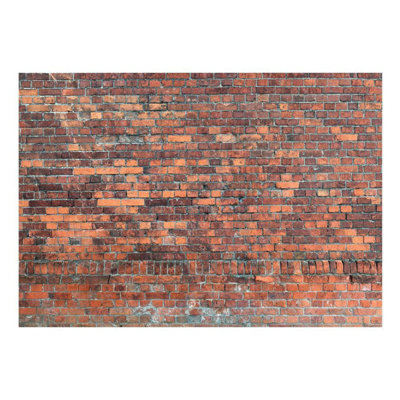Danaiya Brick Wall Mural