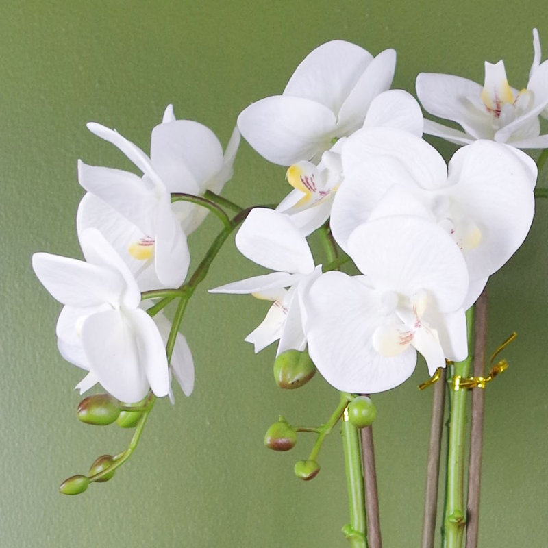 Arrangement, White