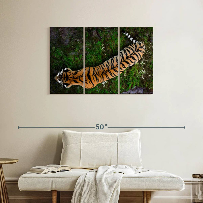 Brampt Tiger From Above, 24" H x 38" W