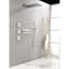 3 jets pour le corps et douche murale, nickel brossé pour salle de bain moderne en nickel, pomme de douche autonettoyante
