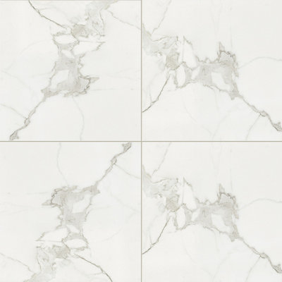 Tuscany Marble 24x24 Matte Calacatta