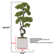 55.57'' Faux Bonsai Tree in Planter