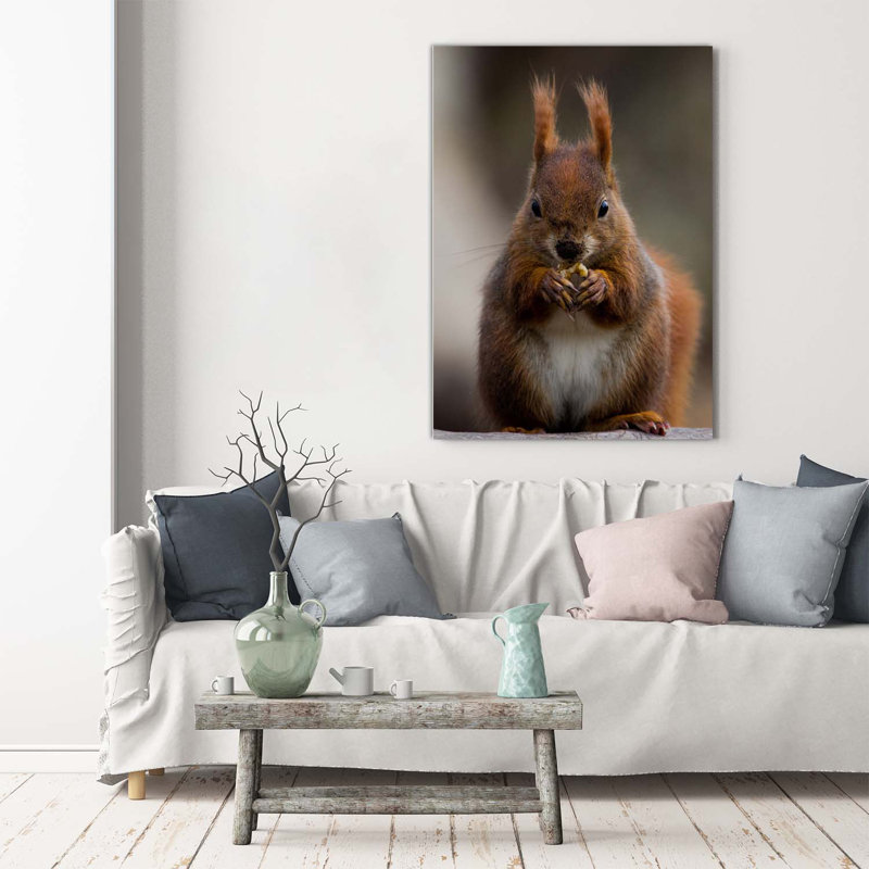 Squirrel - Wrapped Canvas Print