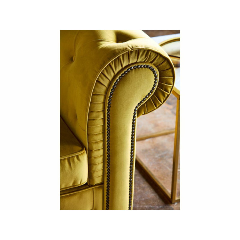 MacAdam 2 - Piece Velvet Living Room Set, Yellow