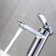 Single Hole Bathroom Faucet with Drain Assembly