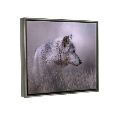 Loup gris - faune