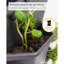 Paul Potato Potato Planter Tower, 3-Tier, Raised Bed, Pest protection, 0.2m², 42L Soil Capacity-413500411