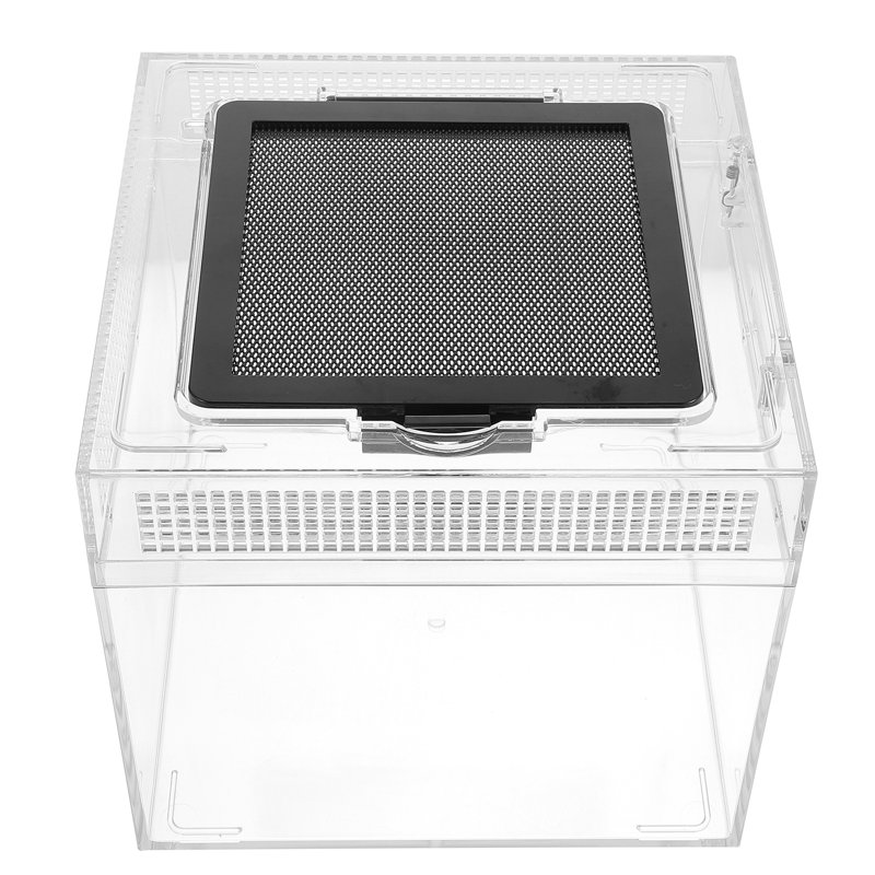 1Pc Reptile Feeding Box Small Crawling Pet Hatching Container Lizard Habitat Box