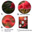Photo Og Geraniums Field II sur toile-1705815312-1705815313