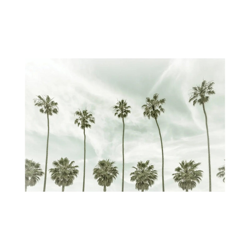 La Jolla Vintage Palm Trees by Melanie Viola - Wrapped Canvas Print, 20.32 cm H x 30.48 cm W
