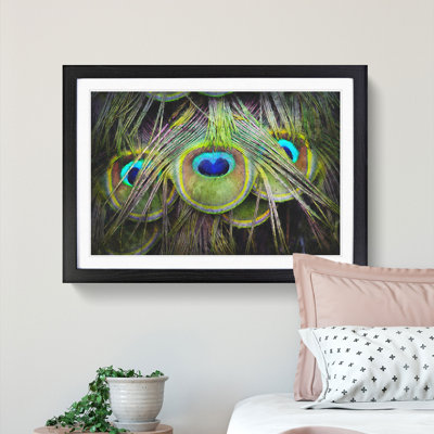 Peacock Feathers - Picture Frame Graphic Art Print
