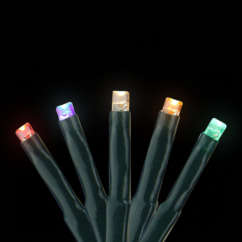 Lumières de Noël DEL à 8 fonctions - multicolore - fil vert 20 pi - 240 carats