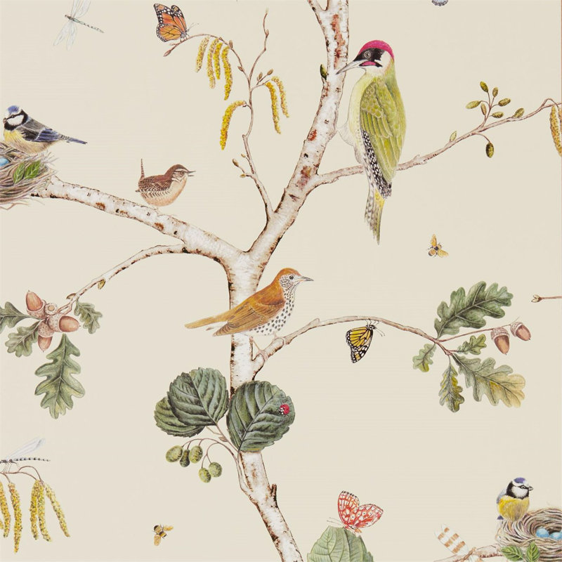Woodland Chorus Wallpaper, Cream/Multi